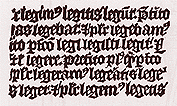 Fragment of a Xylographic Donatus