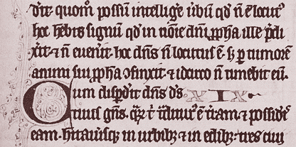 Part of a Column From a German Manuscript Book, Circa 1350